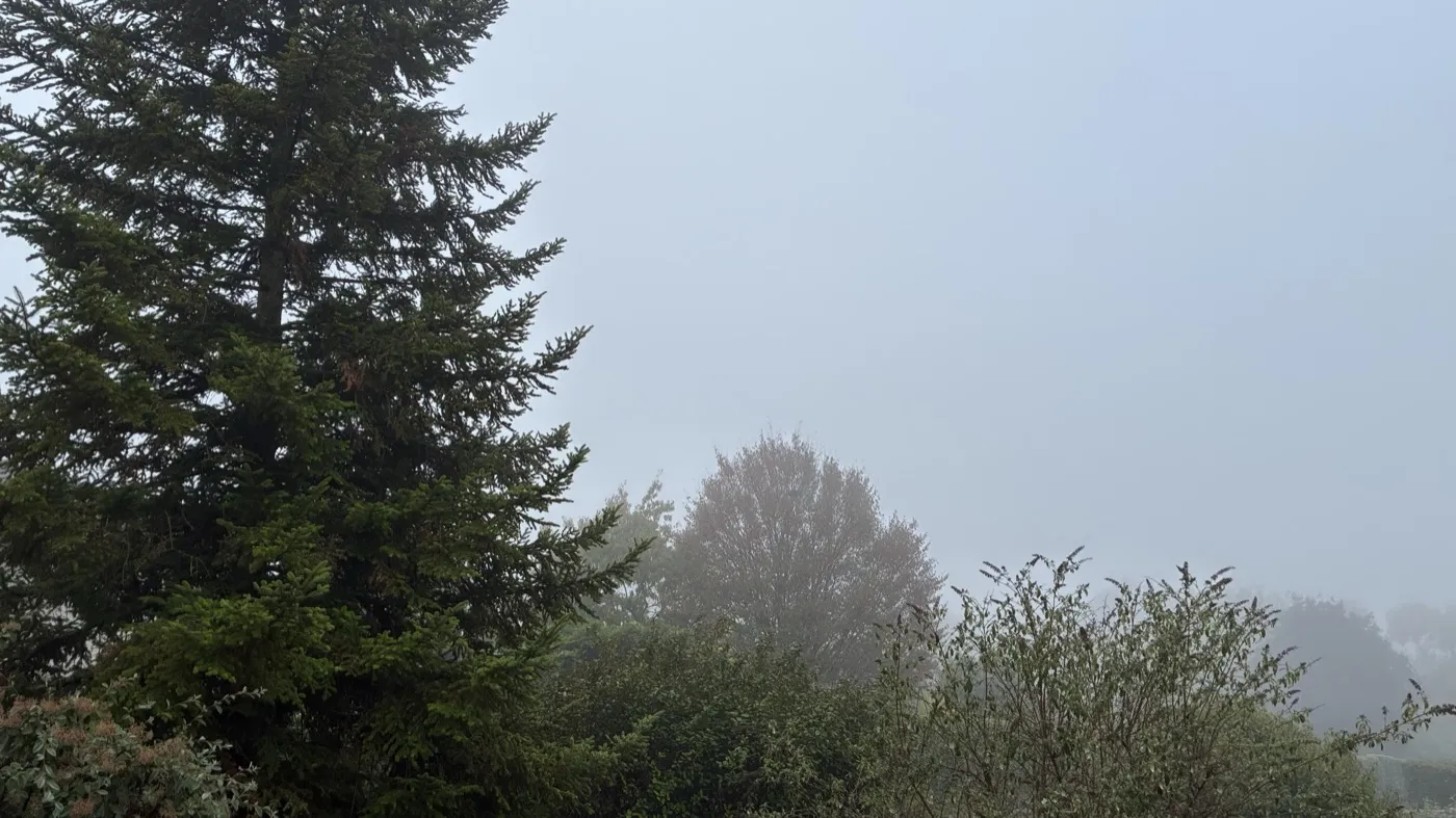 Matin de brouillard en automne, manque de lumière naturelle qui justifie la luminothérapie